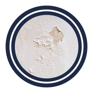 Miami Beach Restoration Expert Miami Beach, FL 786-329-5232 - sb-ser-03