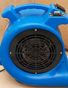 Miami Beach Restoration Expert Miami Beach, FL 786-329-5232 - about