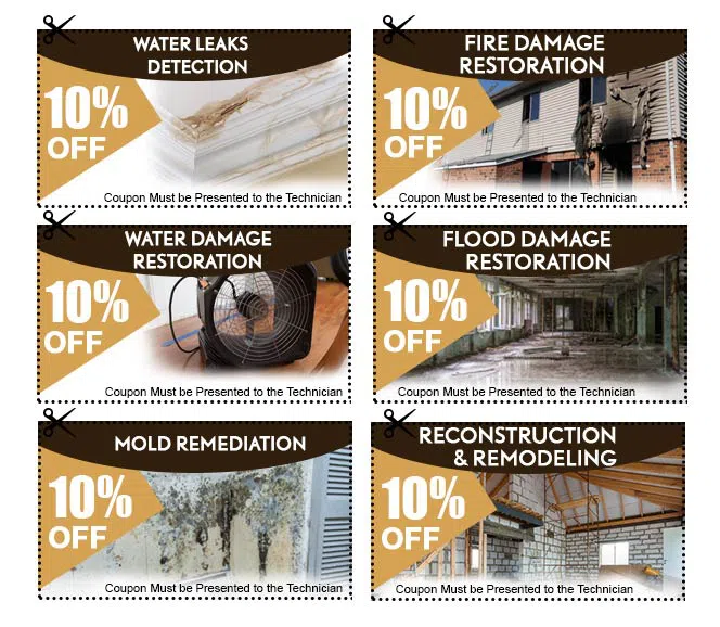 Miami Beach Restoration Expert Miami Beach, FL 786-329-5232 Miami Beach Restoration Expert Miami Beach, FL 786-329-5232