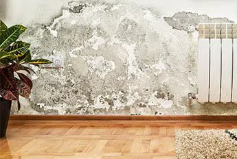 Miami Beach Restoration Expert Miami Beach, FL 786-329-5232 Miami Beach Restoration Expert Miami Beach, FL 786-329-5232 - service-04